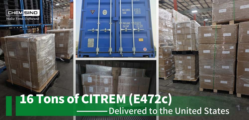 Entregadas 16 toneladas de CITREM (E472c) a EE.UU.